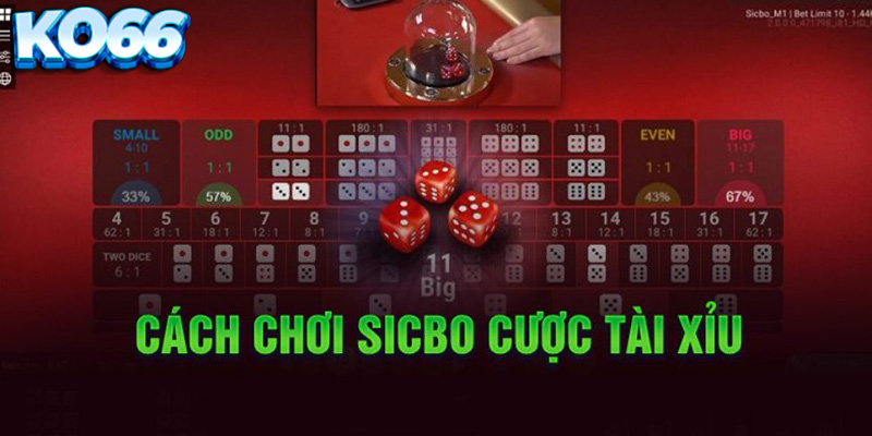 Keno KO66 - Đặt Cược Thử Vận May Của Bạn Ngay Hôm Nay